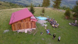 presedintele